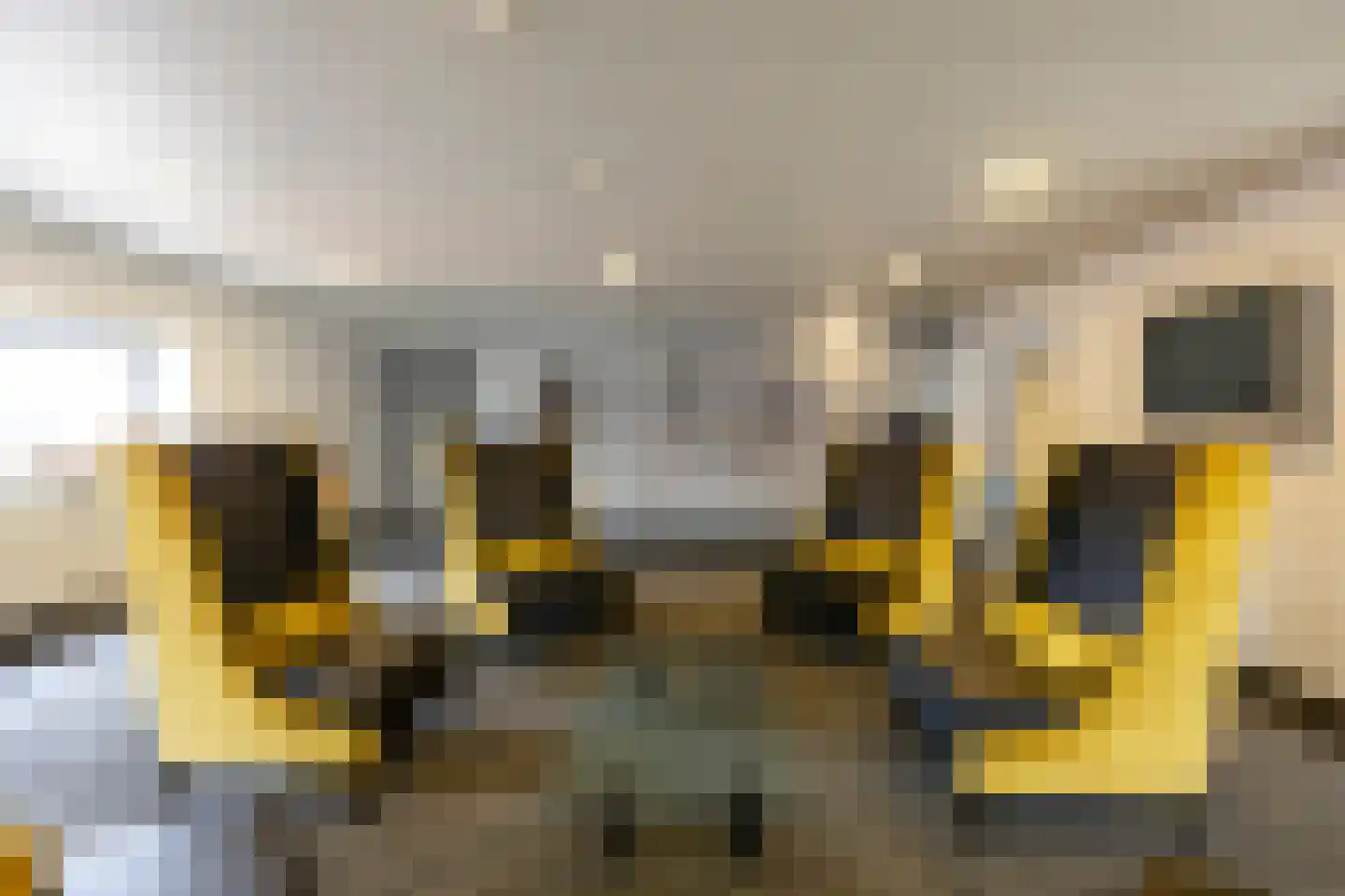 Gedempte Zalmhaven 593 Rotterdam thumbnail 33