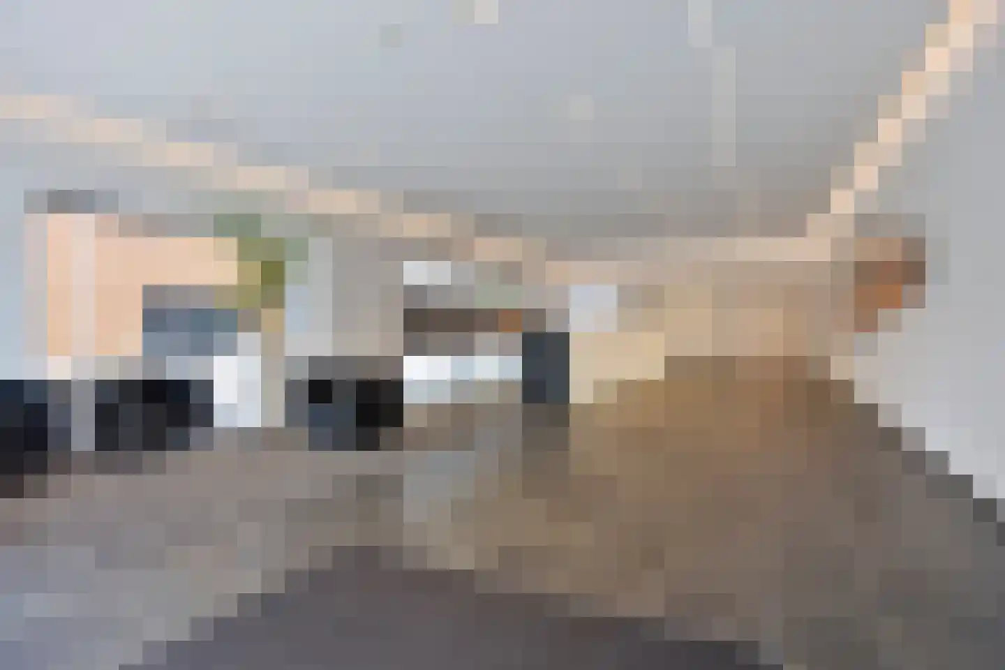 Gedempte Zalmhaven 593 Rotterdam thumbnail 8