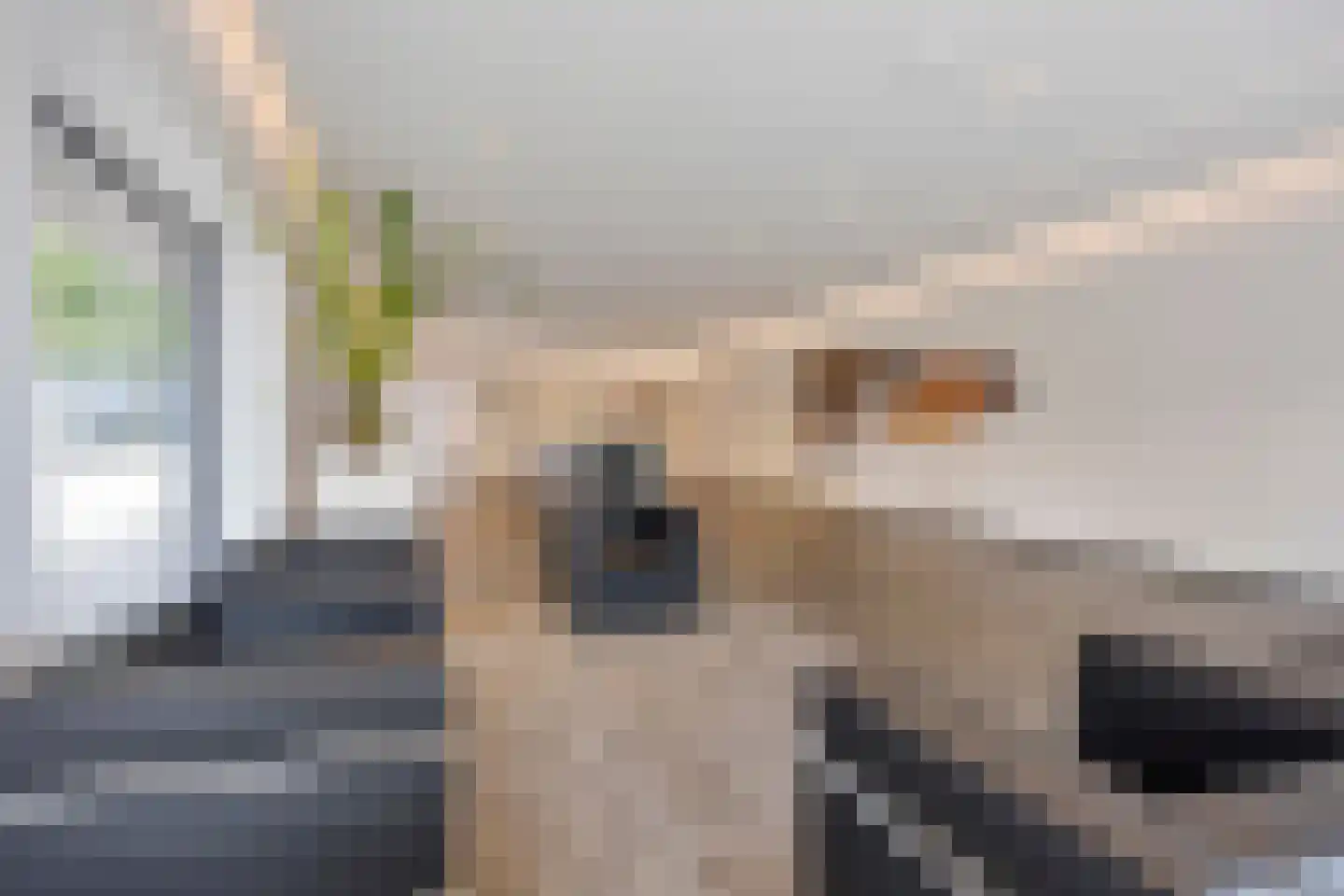 Gedempte Zalmhaven 593 Rotterdam thumbnail 9