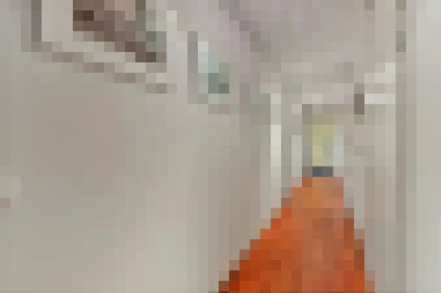Gedempte Zalmhaven 605 Rotterdam thumbnail 25