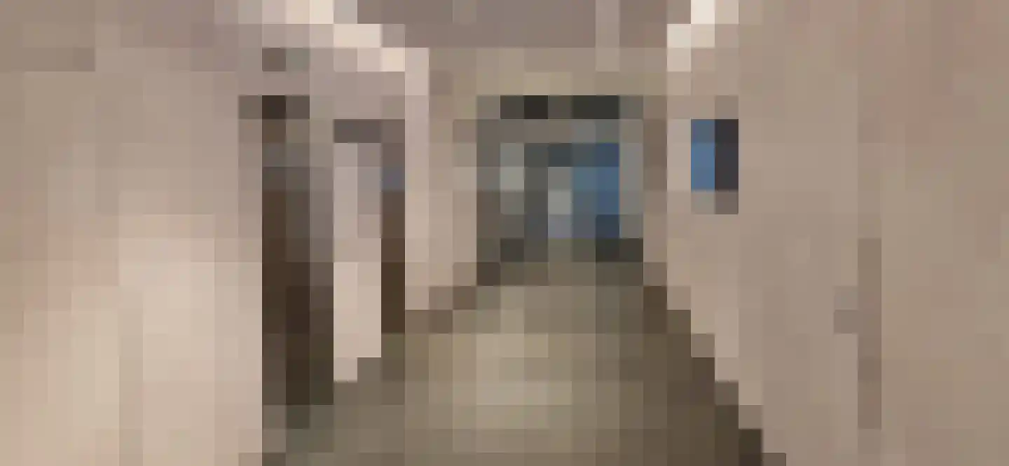 Gedempte Zalmhaven 605 Rotterdam thumbnail 38
