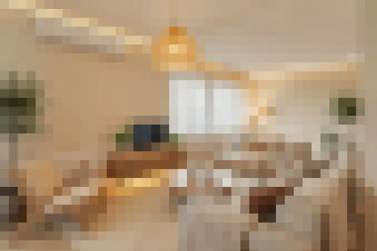 Gedempte Zalmhaven 605 Rotterdam thumbnail 5