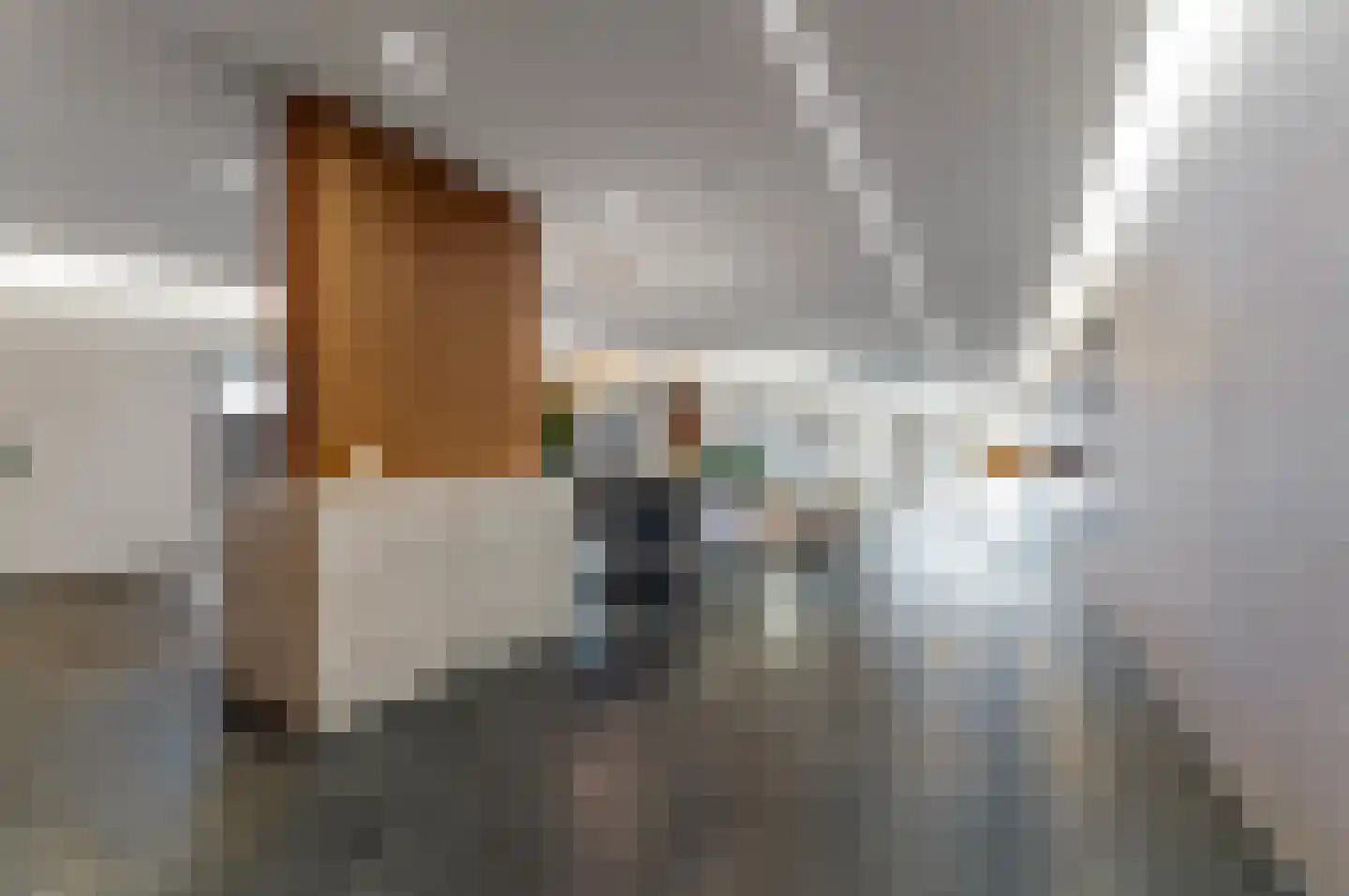 Gedempte Zalmhaven 605 Rotterdam thumbnail 8