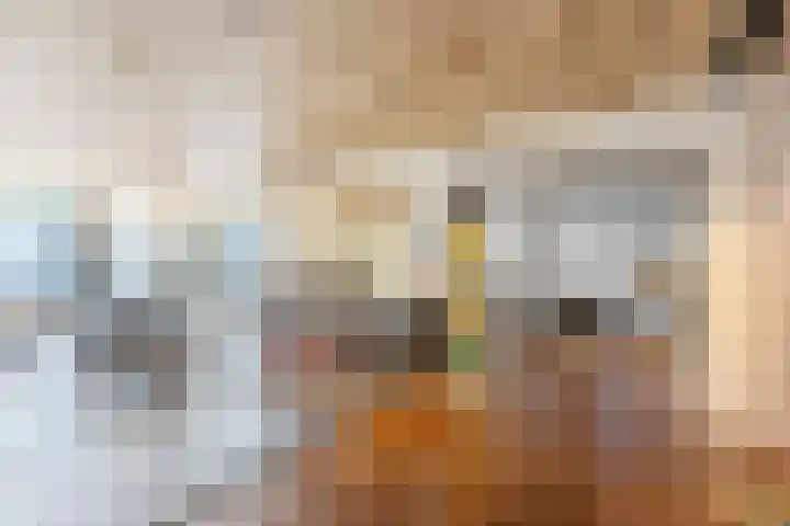 Gedempte Zalmhaven 625 Rotterdam thumbnail 20
