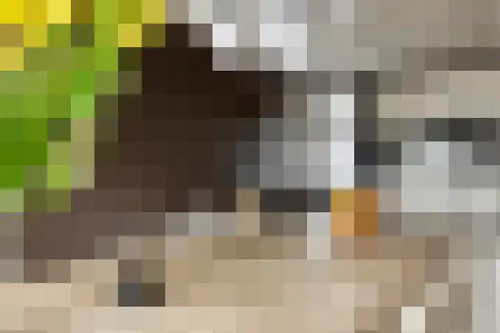 Gedempte Zalmhaven 745 Rotterdam thumbnail 11