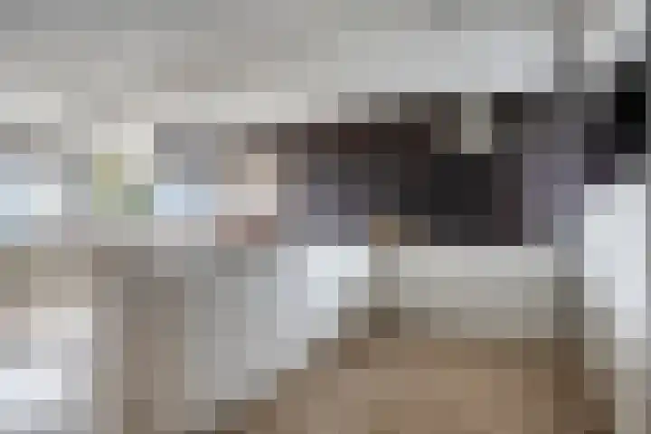 Gedempte Zalmhaven 745 Rotterdam thumbnail 12