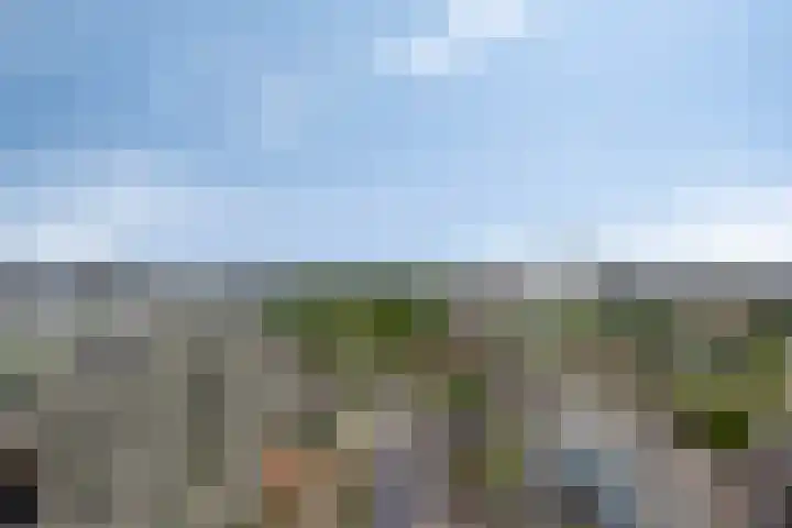 Gedempte Zalmhaven 745 Rotterdam thumbnail 14