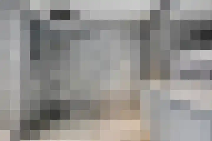 Gedempte Zalmhaven 745 Rotterdam thumbnail 16