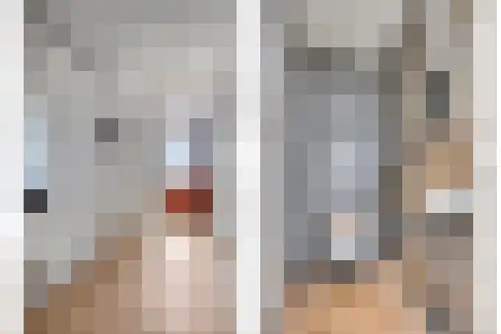 Gedempte Zalmhaven 745 Rotterdam thumbnail 23