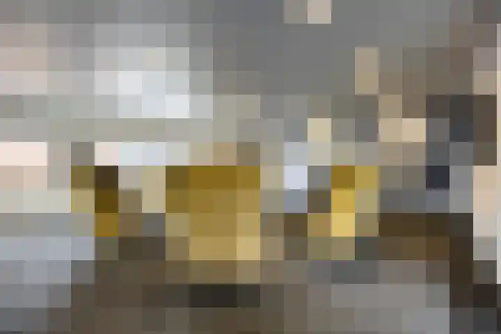 Gedempte Zalmhaven 745 Rotterdam thumbnail 27