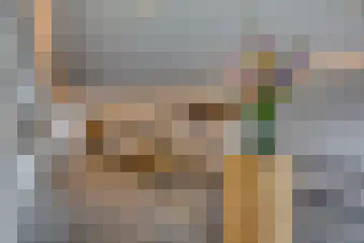 Gedempte Zalmhaven 745 Rotterdam thumbnail 29