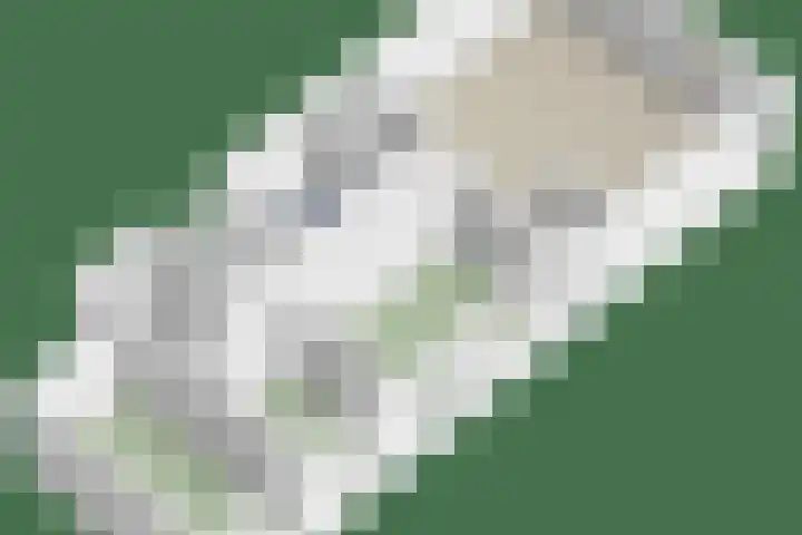 Gedempte Zalmhaven 745 Rotterdam thumbnail 35
