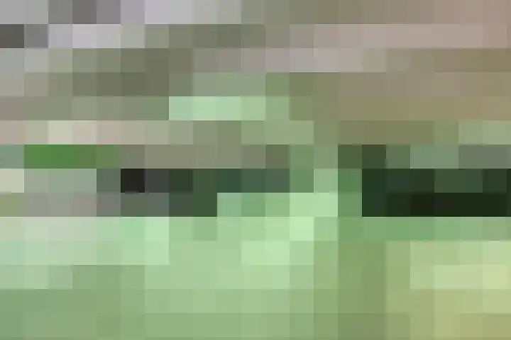 Gedempte Zalmhaven 745 Rotterdam thumbnail 4