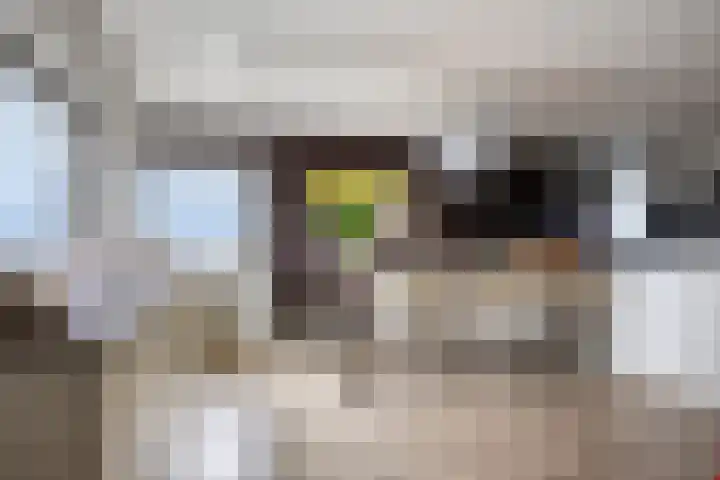 Gedempte Zalmhaven 745 Rotterdam thumbnail 8