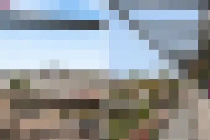 Gedempte Zalmhaven 801 Rotterdam thumbnail 13