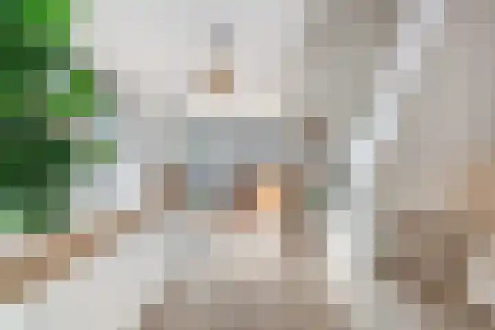 Gedempte Zalmhaven 801 Rotterdam thumbnail 16