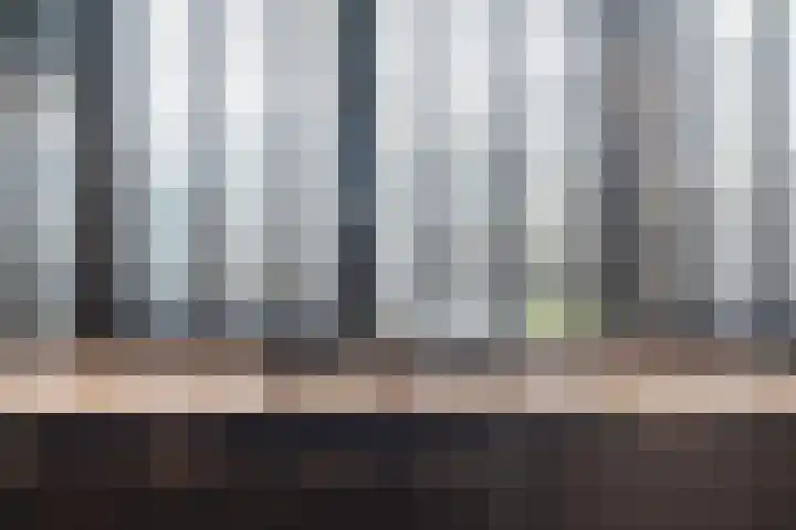 Gedempte Zalmhaven 801 Rotterdam thumbnail 19