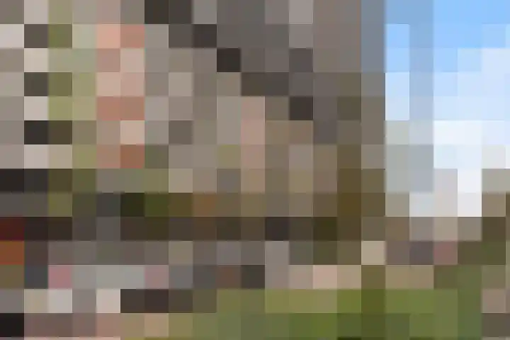 Gedempte Zalmhaven 801 Rotterdam thumbnail 35