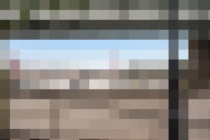 Gedempte Zalmhaven 801 Rotterdam thumbnail 42
