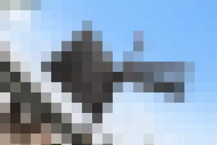 Gedempte Zalmhaven 801 Rotterdam thumbnail 43