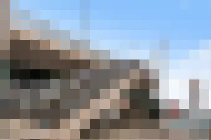 Gedempte Zalmhaven 801 Rotterdam thumbnail 44