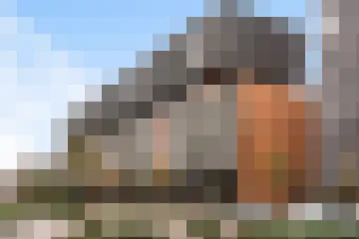 Gedempte Zalmhaven 801 Rotterdam thumbnail 5