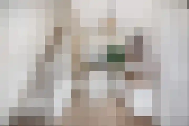 Gedempte Zalmhaven 801 Rotterdam thumbnail 6
