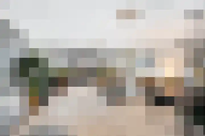 Gedempte Zalmhaven 801 Rotterdam thumbnail 8