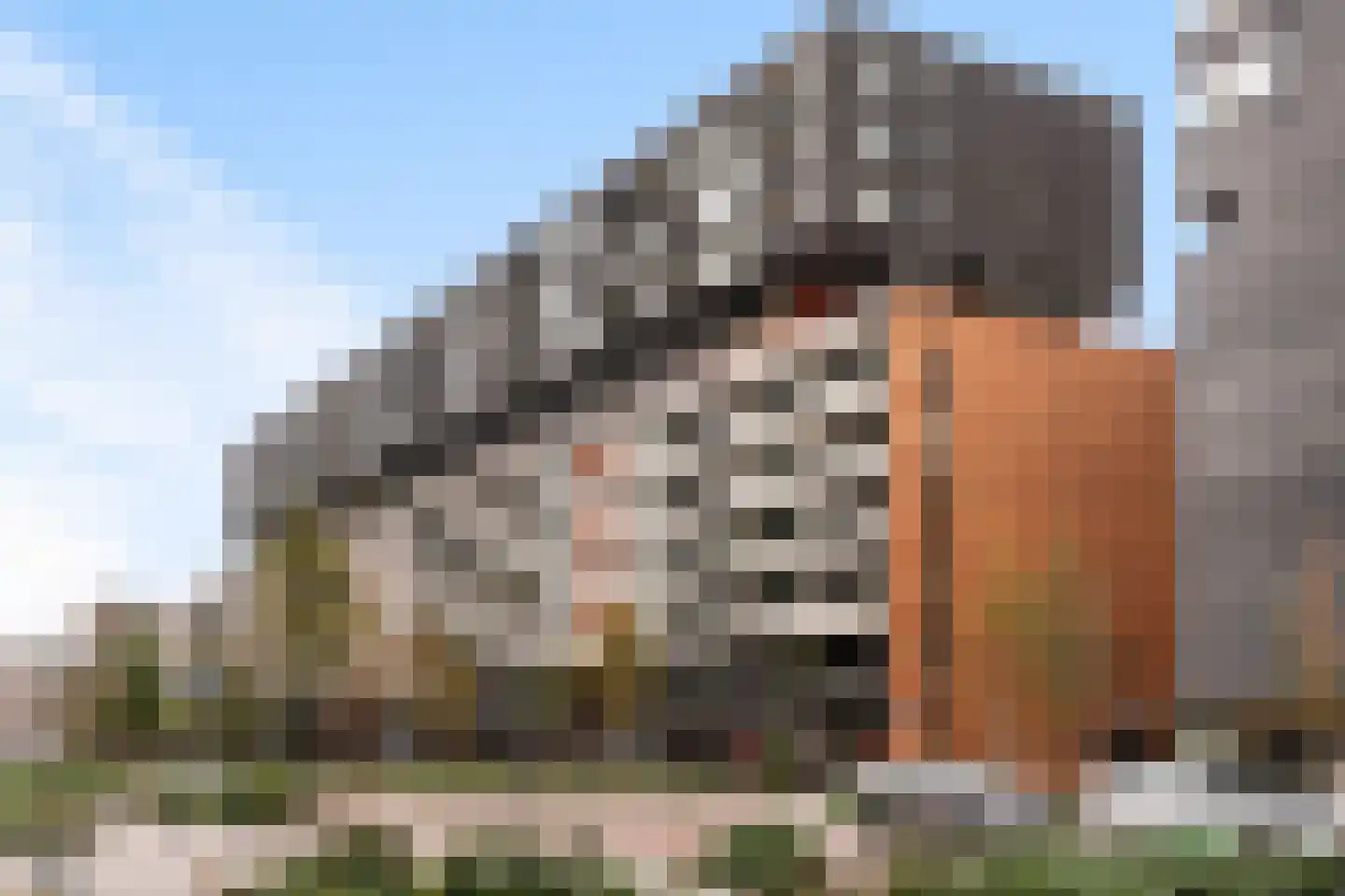 Gedempte Zalmhaven 881 Rotterdam thumbnail 28