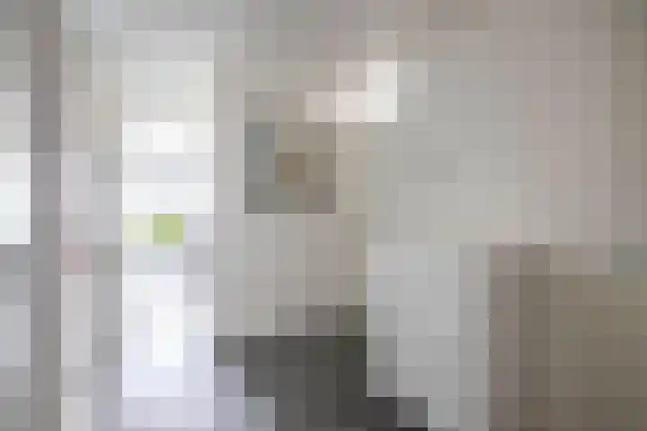 Gedempte Zalmhaven 891 Rotterdam thumbnail 12