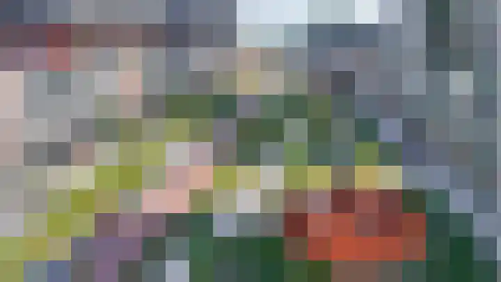 Gedempte Zalmhaven 891 Rotterdam thumbnail 30