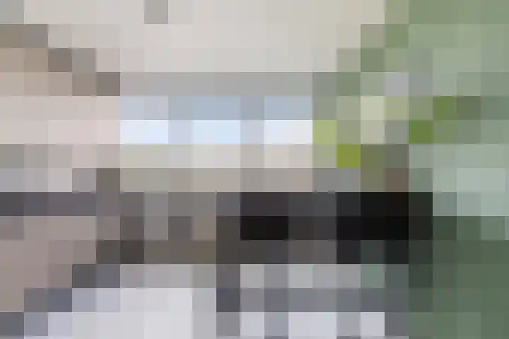 Gedempte Zalmhaven 893 Rotterdam thumbnail 27