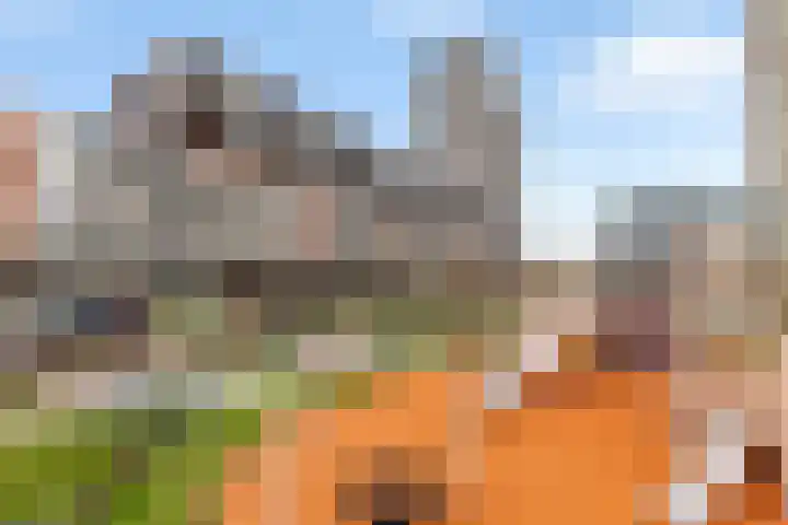Gedempte Zalmhaven 893 Rotterdam thumbnail 34