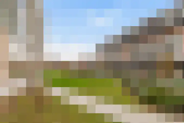 Gedempte Zalmhaven 893 Rotterdam thumbnail 35