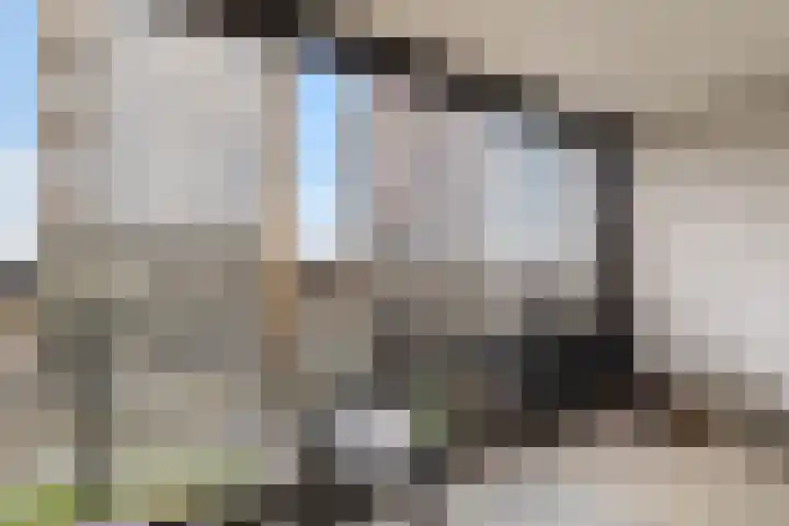 Gedempte Zalmhaven 893 Rotterdam thumbnail 45