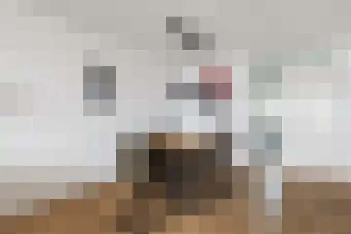 Gedempte Zalmhaven 893 Rotterdam thumbnail 50