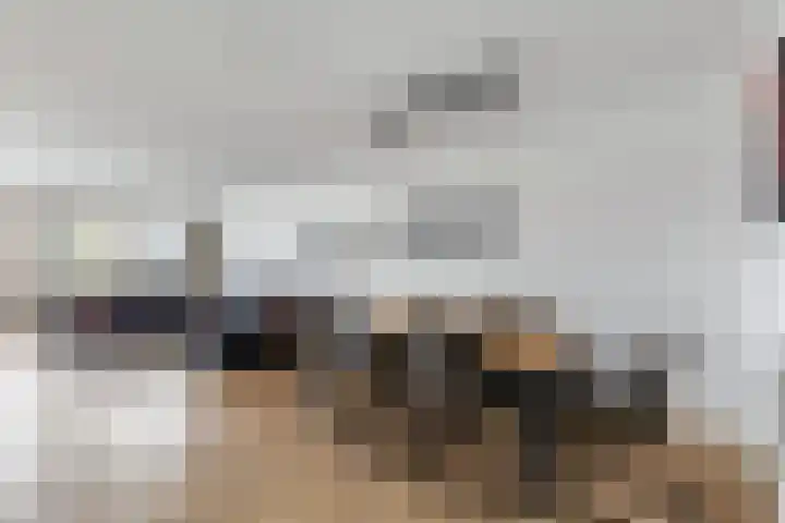 Gedempte Zalmhaven 893 Rotterdam thumbnail 51
