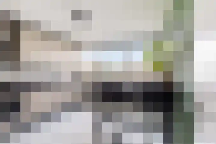 Gedempte Zalmhaven 893 Rotterdam thumbnail 54