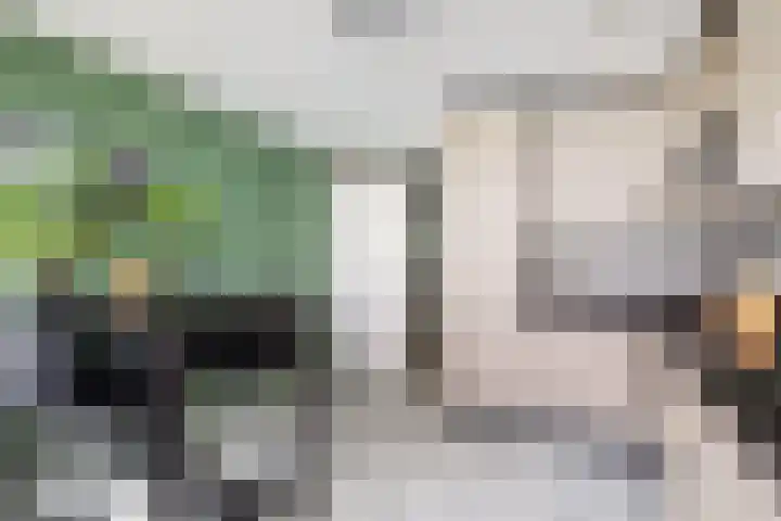 Gedempte Zalmhaven 893 Rotterdam thumbnail 55
