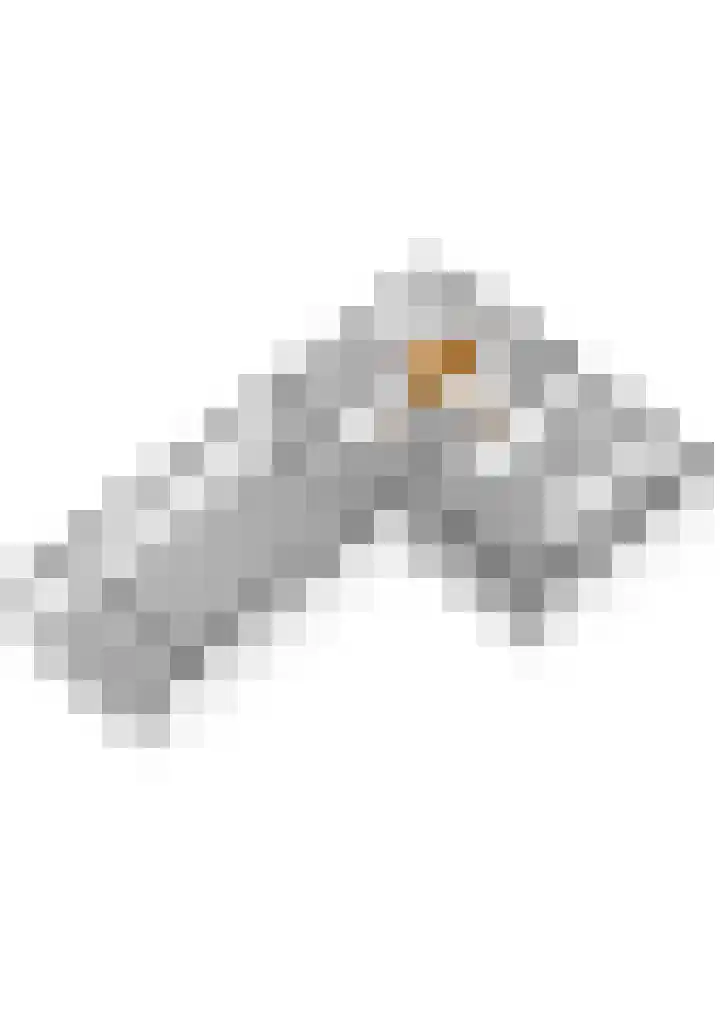 Gedempte Zalmhaven 893 Rotterdam thumbnail 60