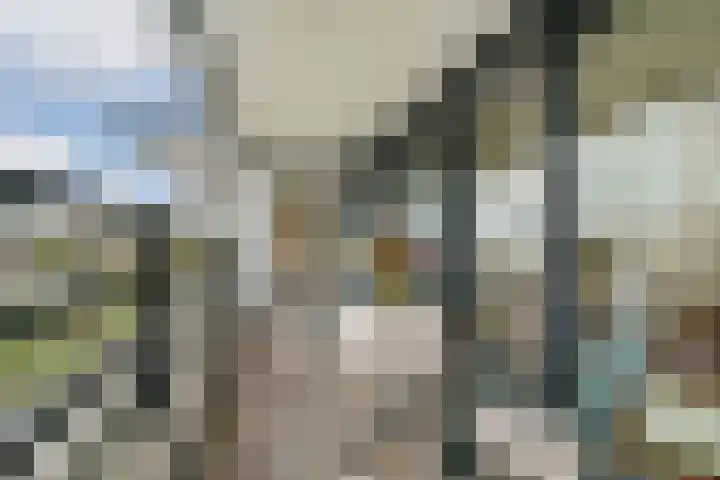 Gedempte Zalmhaven 945 Rotterdam thumbnail 12