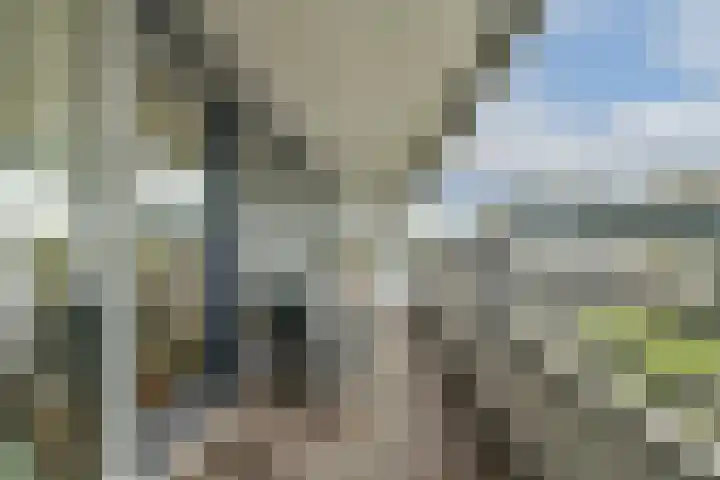 Gedempte Zalmhaven 945 Rotterdam thumbnail 14