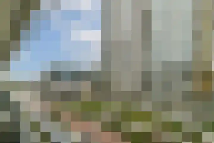 Gedempte Zalmhaven 945 Rotterdam thumbnail 16