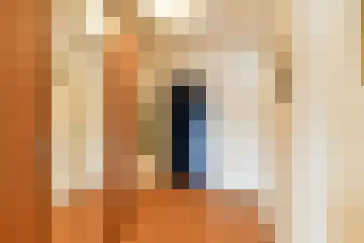 Gedempte Zalmhaven 945 Rotterdam thumbnail 17