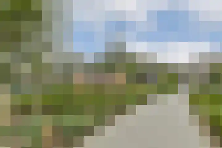 Gedempte Zalmhaven 945 Rotterdam thumbnail 32