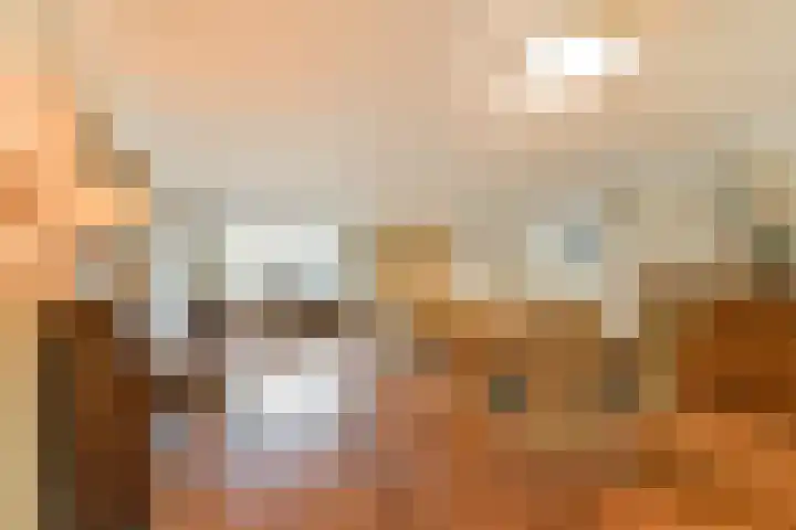 Gedempte Zalmhaven 945 Rotterdam thumbnail 5