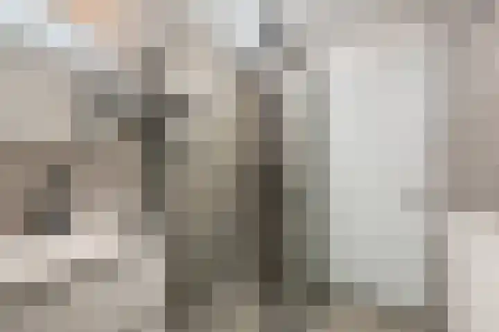 Gedempte Zalmhaven 963 Rotterdam thumbnail 18