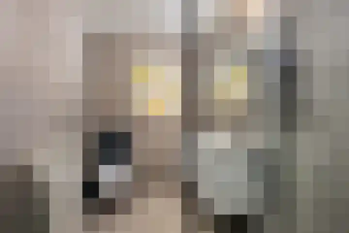 Gedempte Zalmhaven 963 Rotterdam thumbnail 19