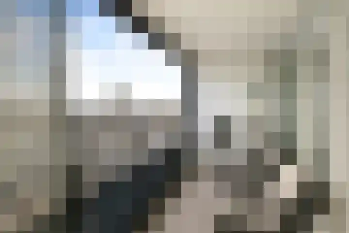 Gedempte Zalmhaven 963 Rotterdam thumbnail 21