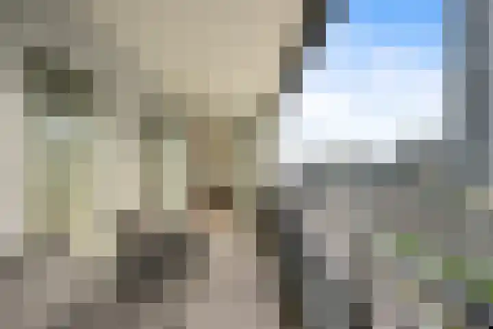 Gedempte Zalmhaven 963 Rotterdam thumbnail 22